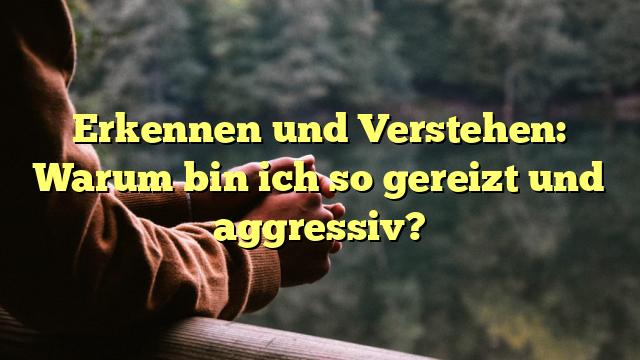 Erkennen und Verstehen: Warum bin ich so gereizt und aggressiv?