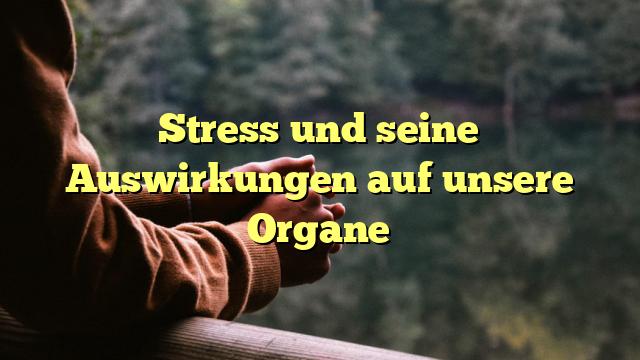 Stress und seine Auswirkungen auf unsere Organe