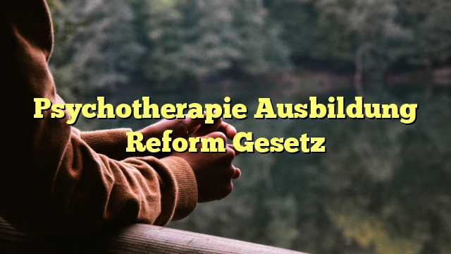 Psychotherapie Ausbildung Reform Gesetz