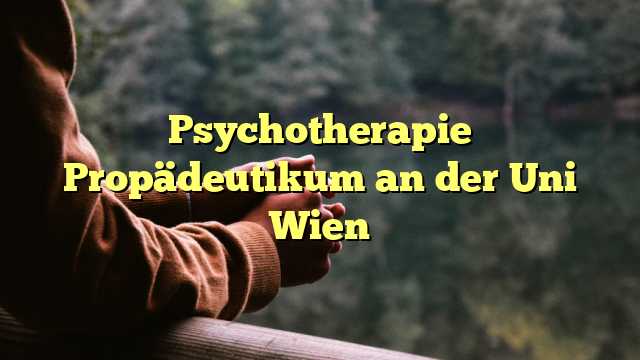 Psychotherapie Propädeutikum an der Uni Wien