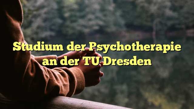 Studium der Psychotherapie an der TU Dresden