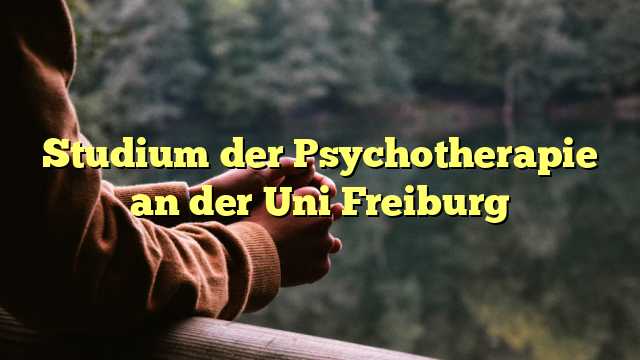 Studium der Psychotherapie an der Uni Freiburg